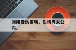 开云中国网站-刘翔受伤离场，伤情尚未公布。