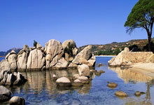 开云官方-海港刷新世界纪录，利物浦教练激动落泪！