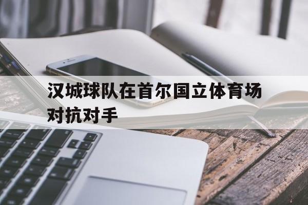 汉城球队在首尔国立体育场对抗对手